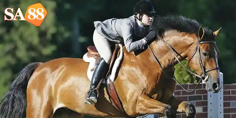 Tham-gia-dua-ngua-tai-SA88-thang-lon-voi-meo-hap-dan