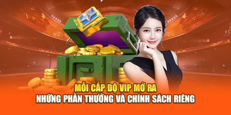 Mỗi cấp độ VIP mở ra những phần thưởng và chính sách riêng